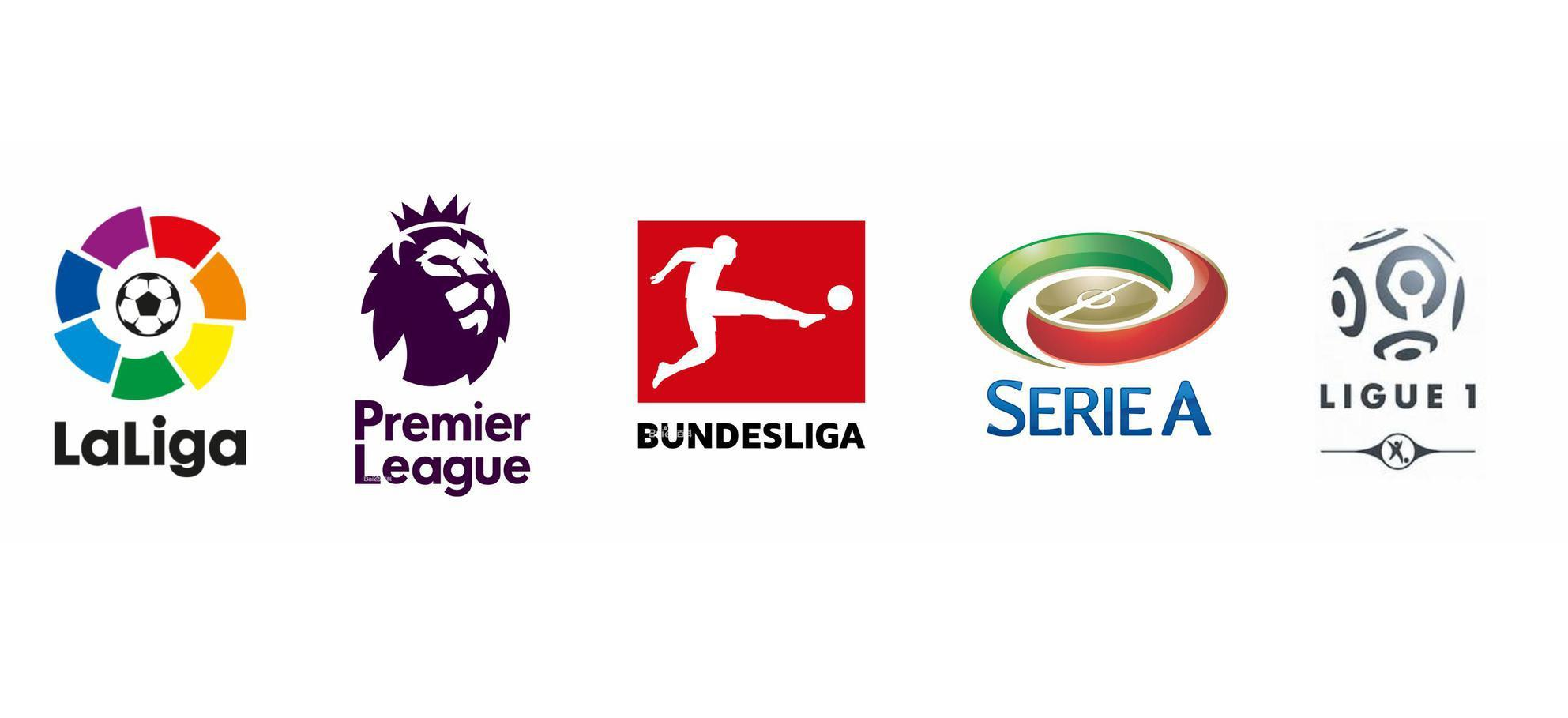 他善于因材 他善于因材